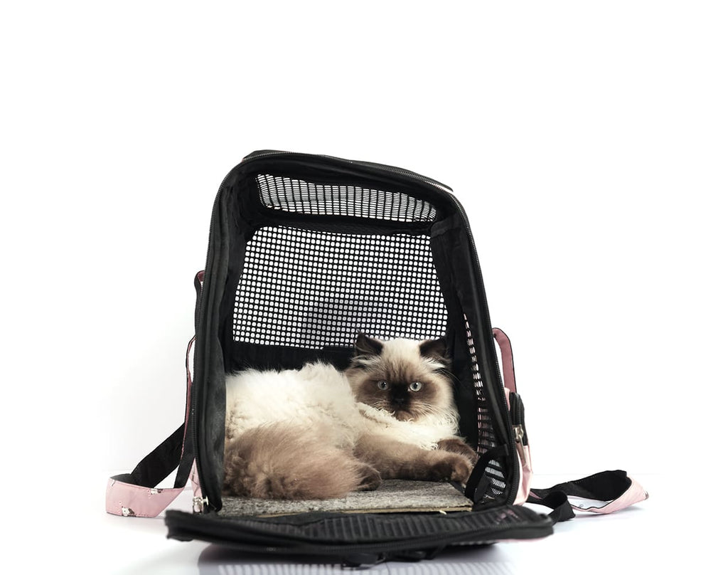 AIVA PET BAG